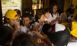 _Taller-de-la-Abuela-Lacteos