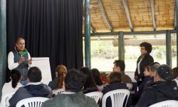 comunicacion-y-liderazgo